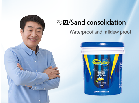 砂固/Sand consolidation